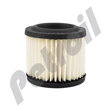 PA2933 Filtro Baldwin Aire Panel P137523 N/A 49174 N/A